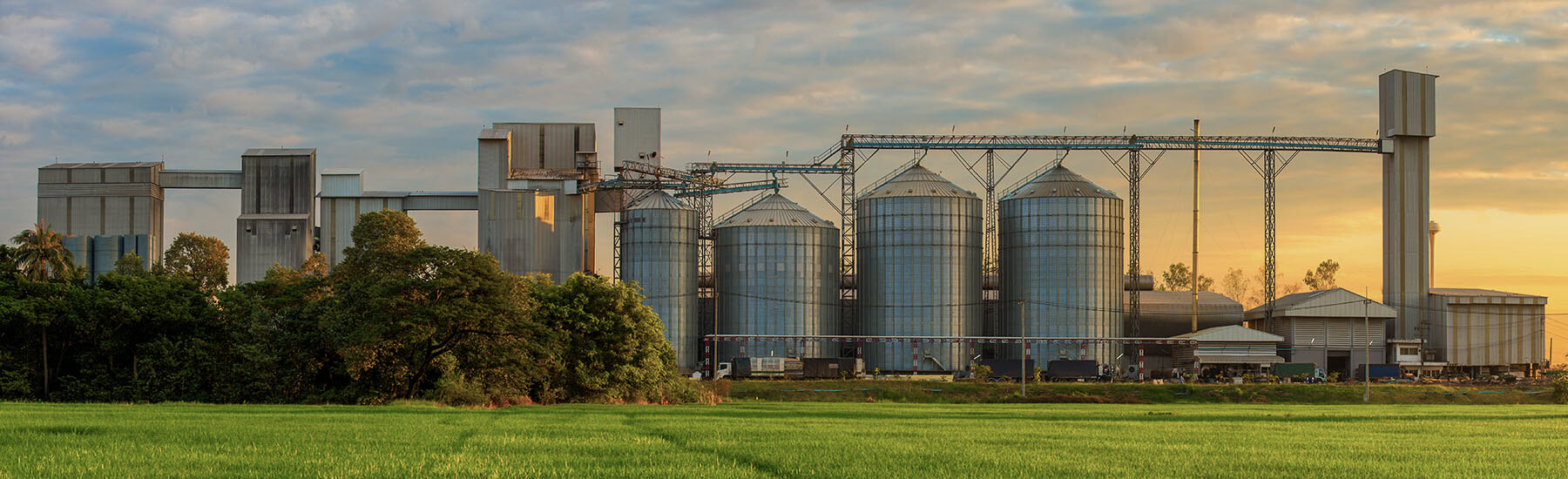 Agriculture Plant