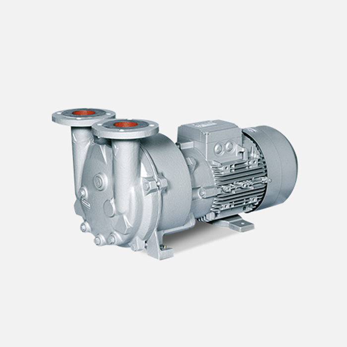 Liquid Ring Vacuum Pumps